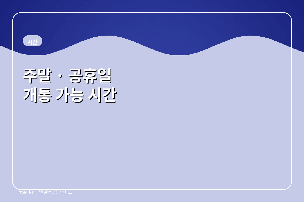 주말·공휴일 개통 가능 시간